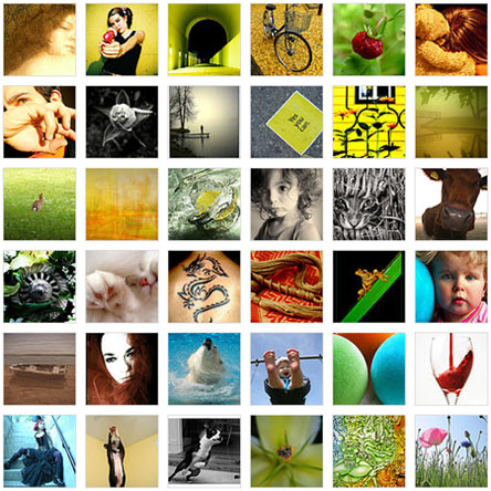Meine Flickr Favoriten
